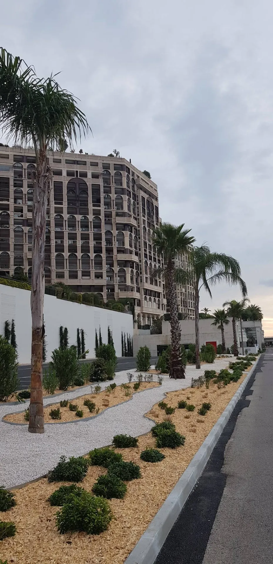 Palmiers et massifs plantés au port de Cap d'Ail