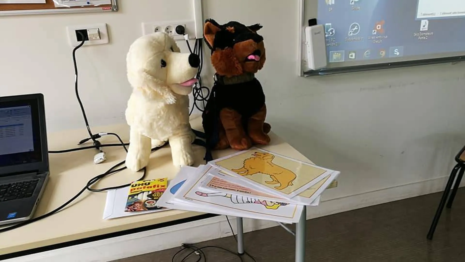 professionnel pour enfant avec des chiens Pessac