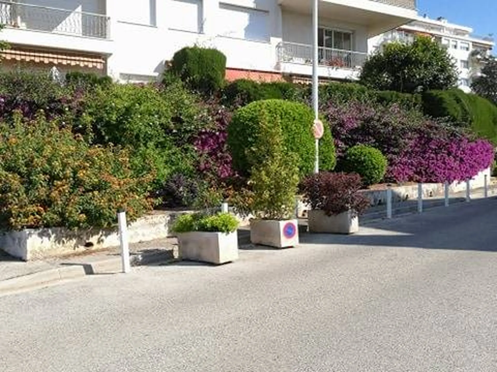 Haies fleurie dans copropriété à Nice