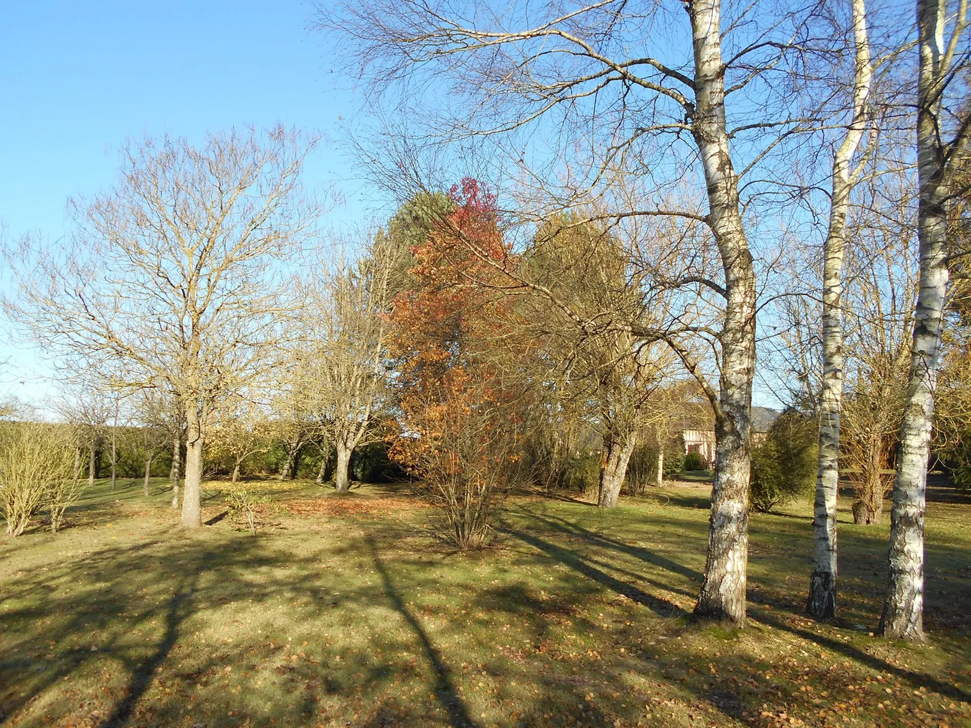 MAISON NORMANDE proche de THIBERVILLE