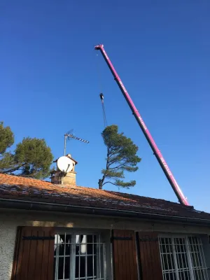 Entreprise pour abattre un arbre grande hauteur dans le Vaucluse