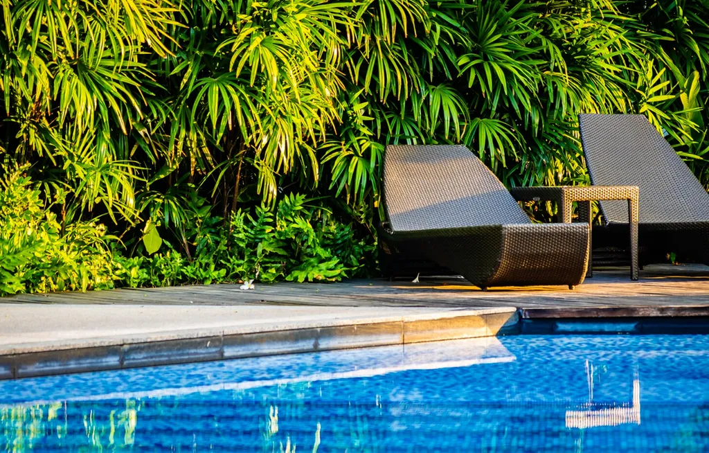 Traitement anti-moustiques tigres pour jardins, les piscines et espaces extérieurs à Portet-sur-Garonne et à Pins-Justaret 