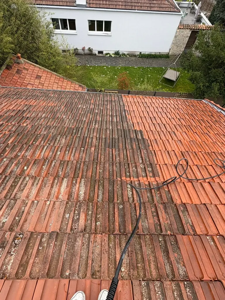 Nettoyage Toiture a Lons