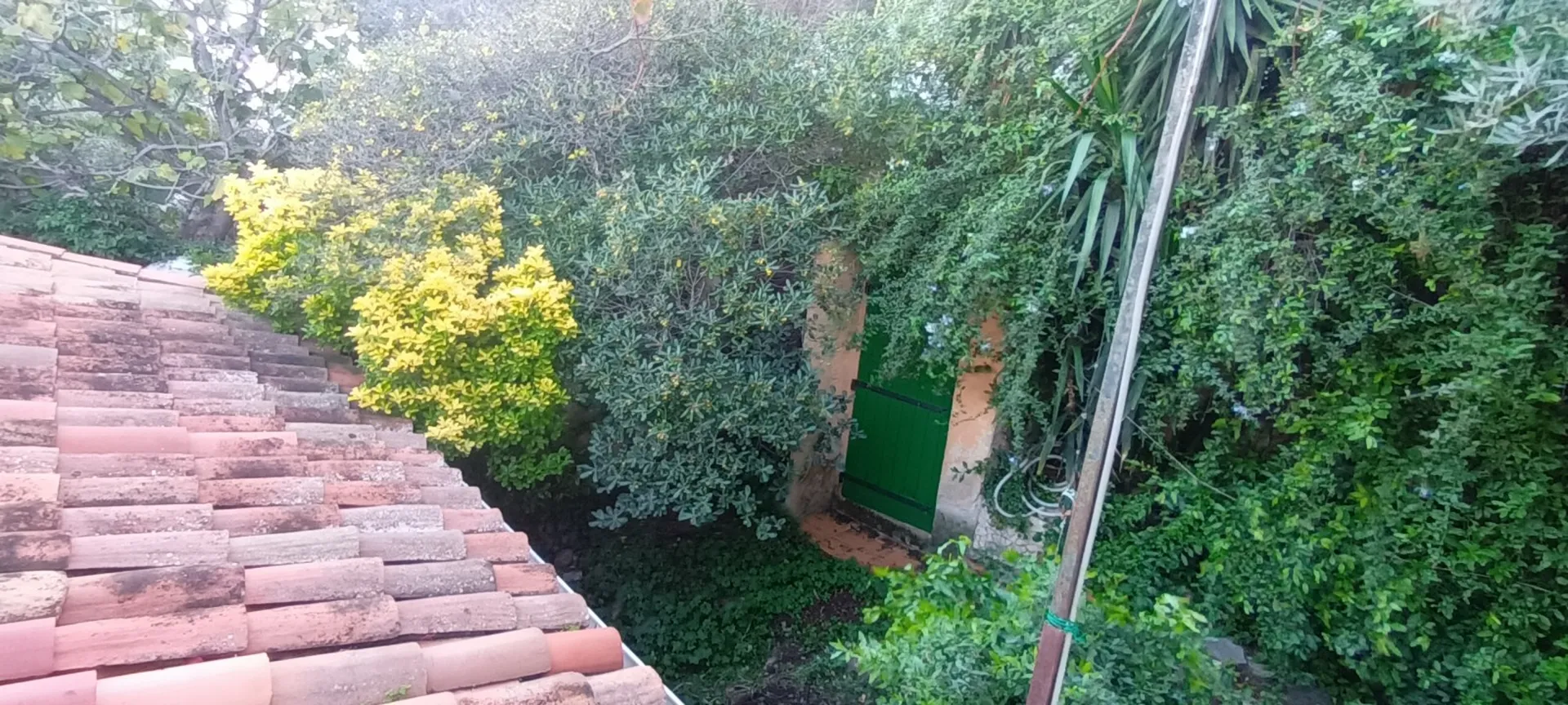 Défrichage pour travaux. 