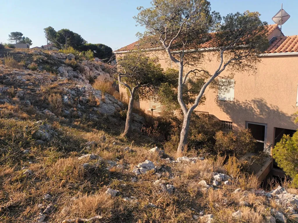 débroussaillage old marseile