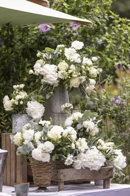 Les plus beaux lieux de mariage en Provence pour un grand jour élégant et chic au mileur des oliviers et lavandes