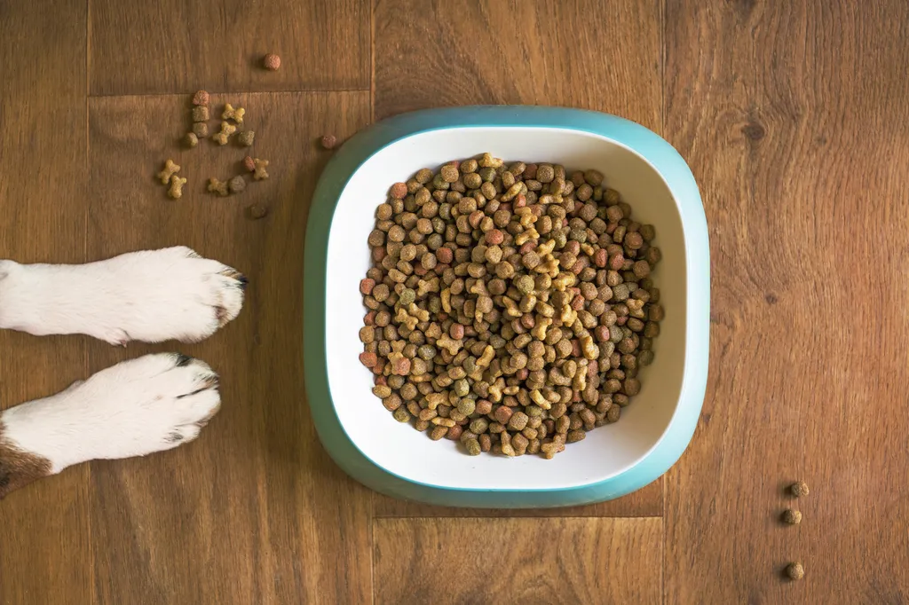 alimentation-chien-chat-provence