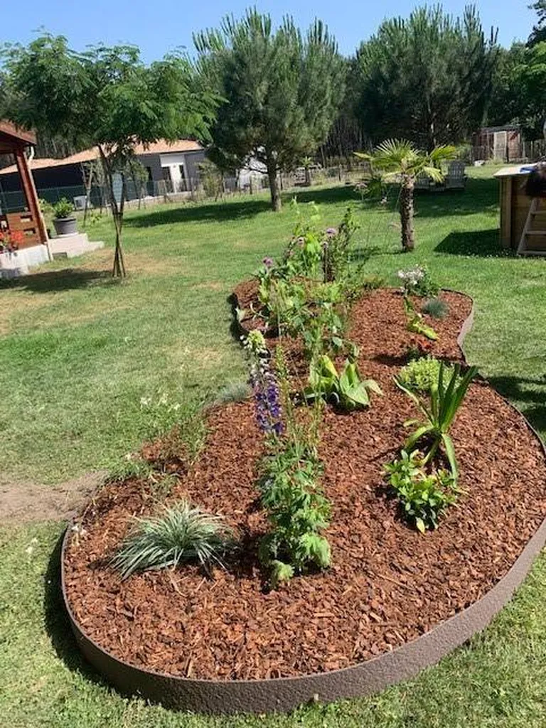un massif végétal dans votre jardin par Evolution Paysage aux environs de Sainte-Eulalie-en-Born