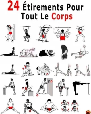 24 Étirements pour tout le corps aprés une seance cardio ou muscu à Marseille