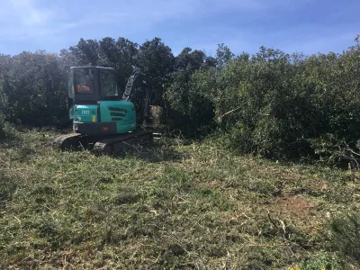 Entreprise de débroussaillage à Avignon pour éviter les incendies