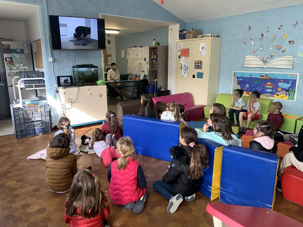 information aux risques de morsures de chien avec une formatrice spécialisé sur la teste et ses alentours