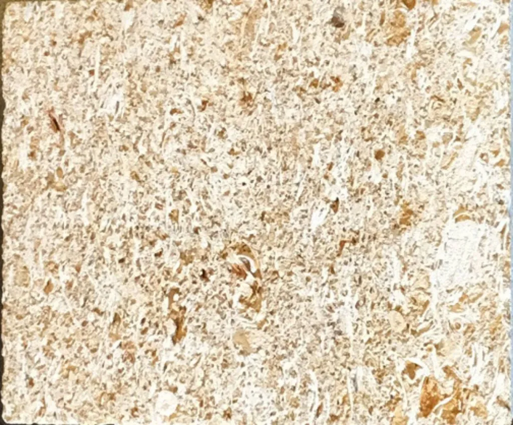 Pierre du Gard Castillon