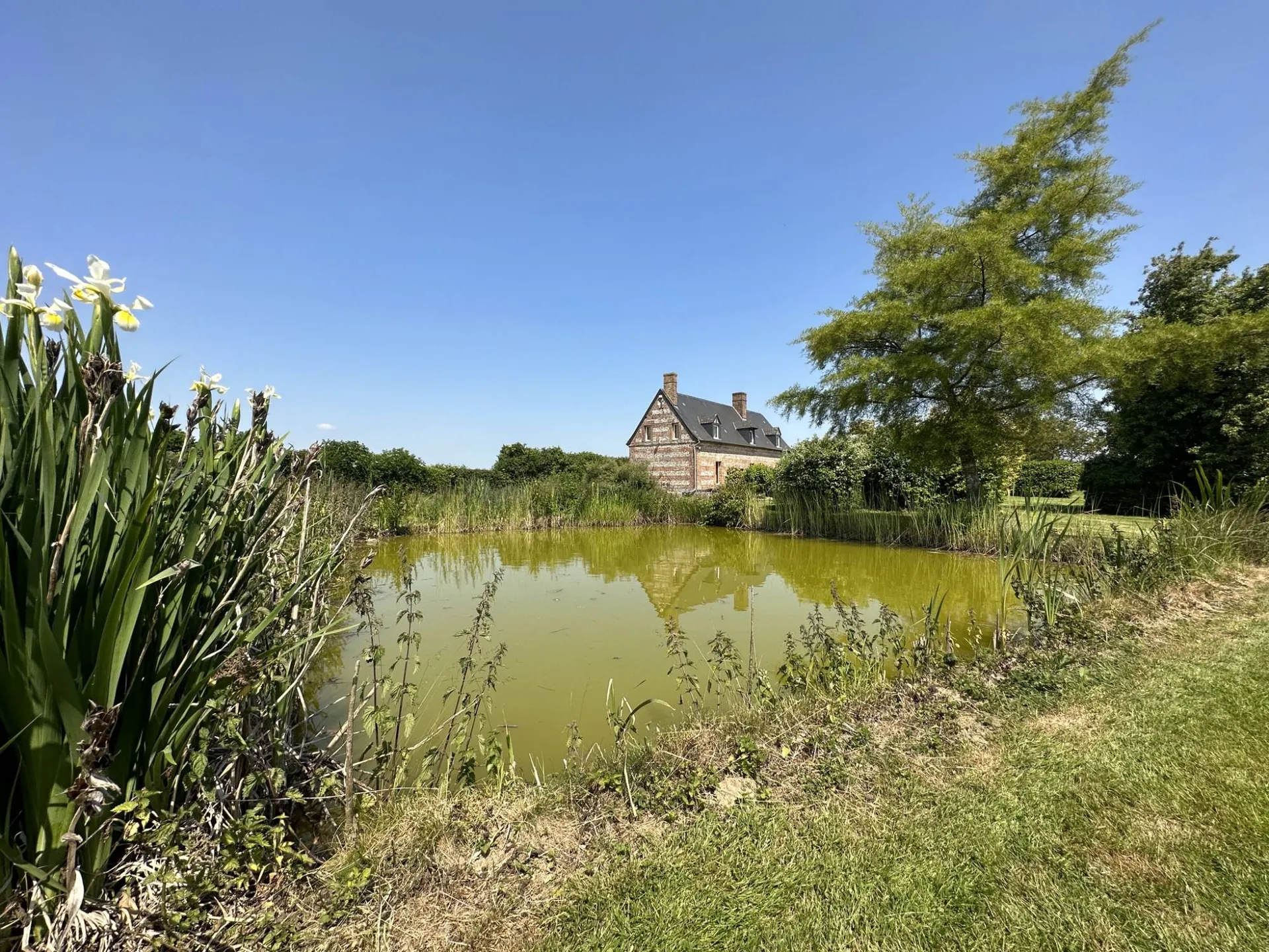 A vendre une parcelle de 1100m² de terrain à batir constructible attenante à la maison.