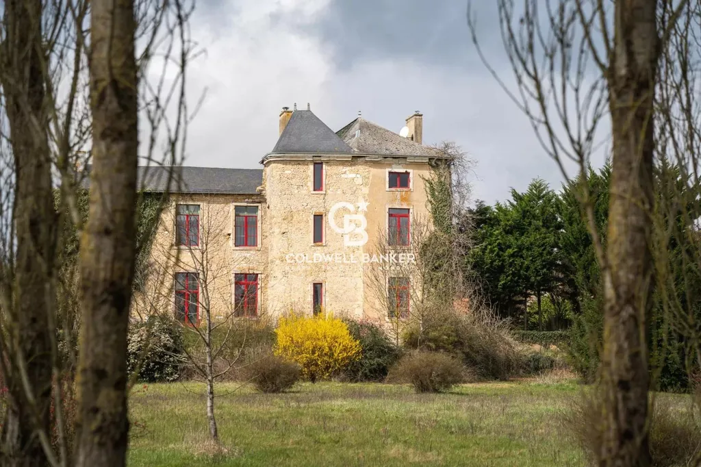 chateau avec dépendances à vendre en sarthe