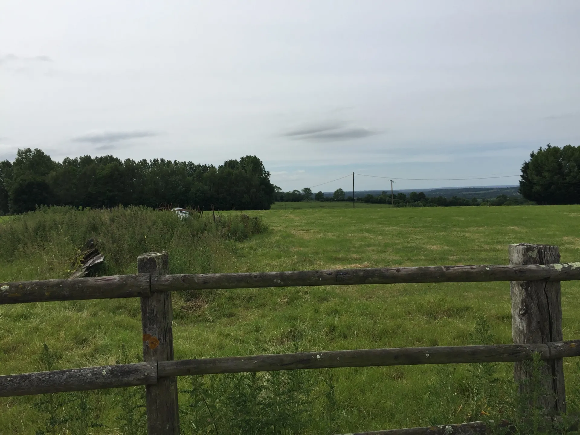 ACHETER DES FERMES HERBAGÈRE A VOCATION ÉLEVAGE  DANS LE CALVADOS 14