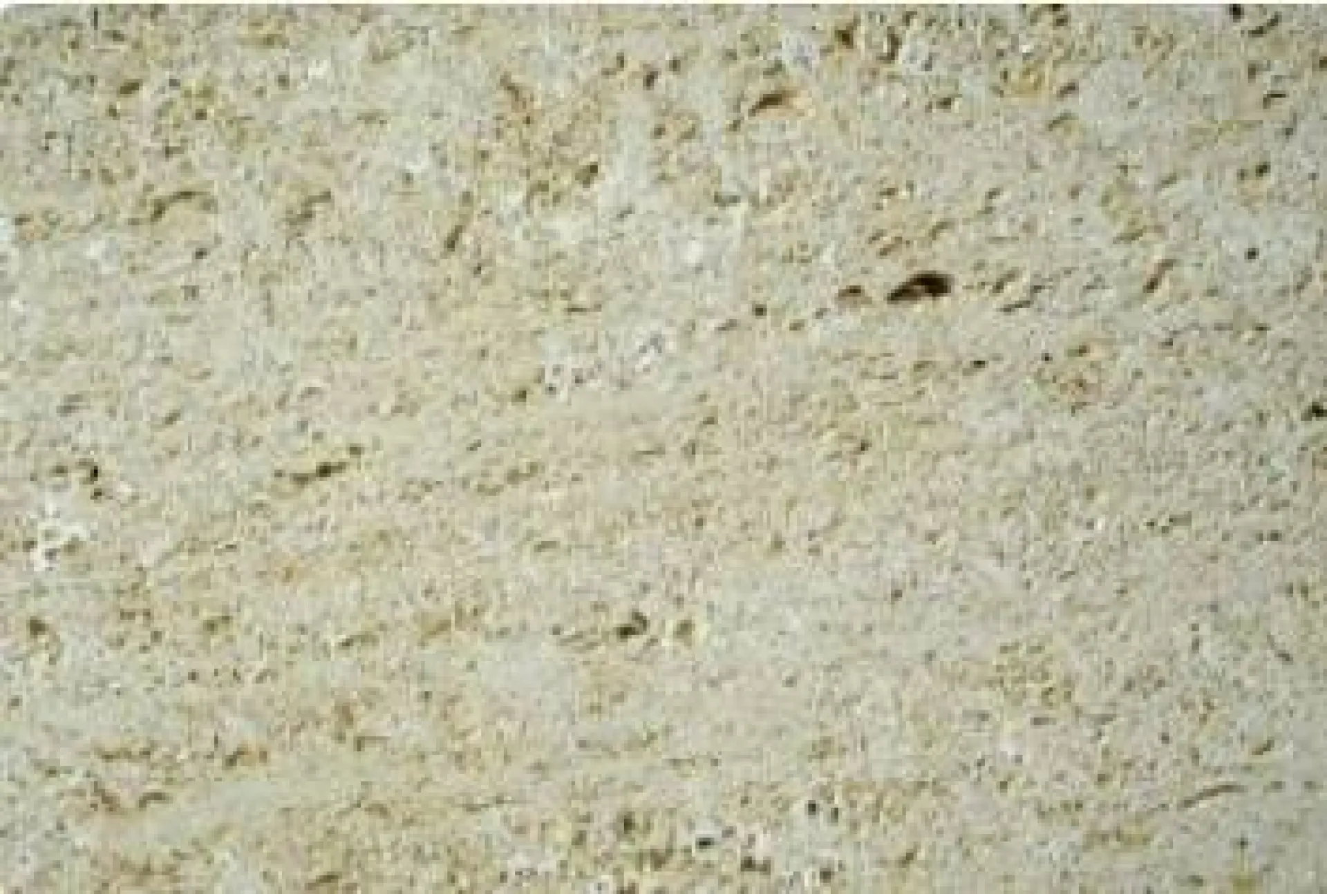 Pierre de Bordeaux Tailleur de pierre entre Agen et Bordeaux, à Périgueux en Dordogne