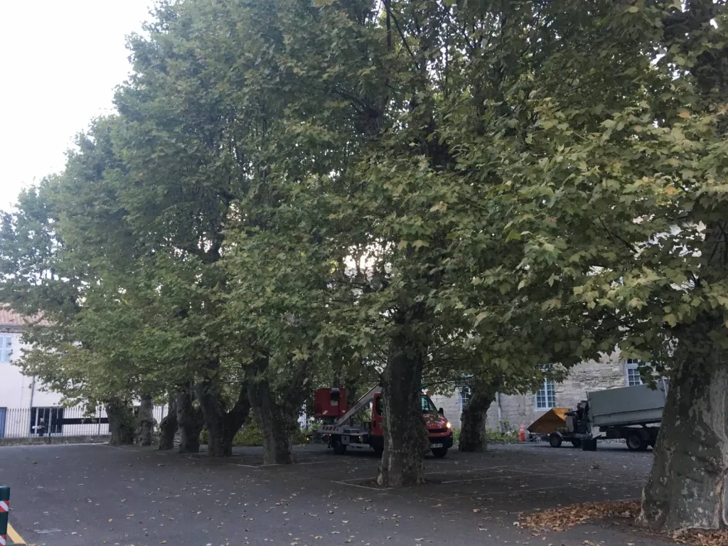 Nos prestations sur le secteur deAvignon Vaucluse