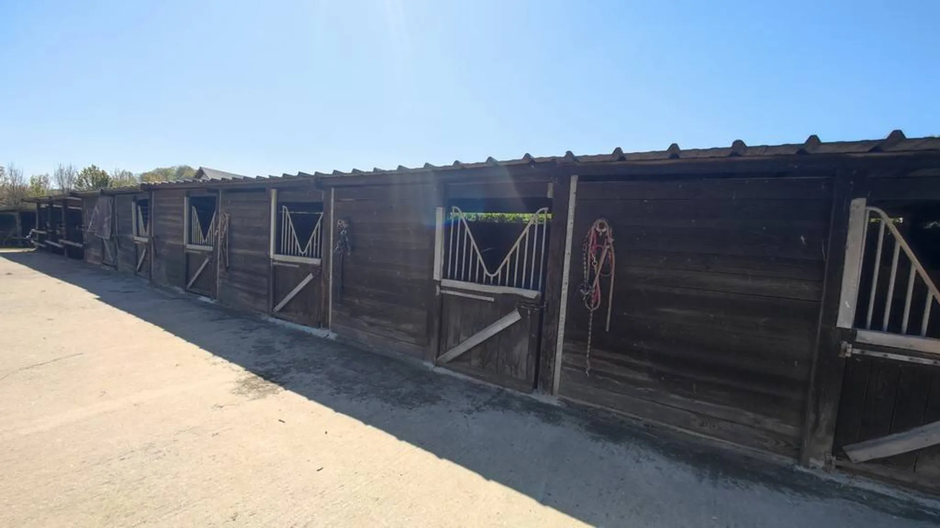 Charmant petit Haras sur 2.2 ha avec boxs, paddocks, manège, carrière et pâtures proche de la mer de Fecamp (76)