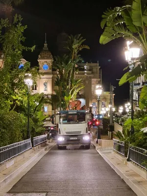 Levage pour transplantation de gros sujets à Monaco