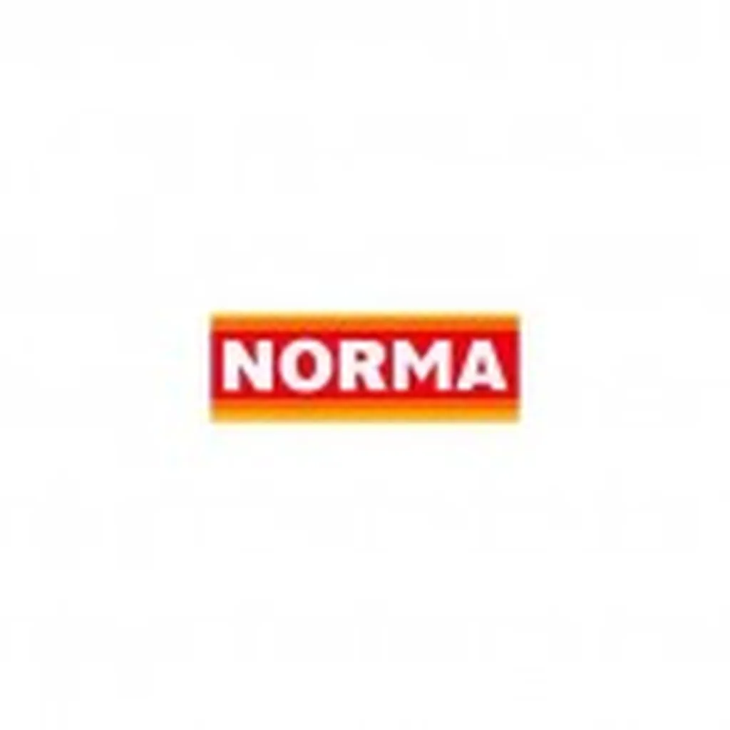DISCOUNT ALIMENTAIRE NIMES  NORMA