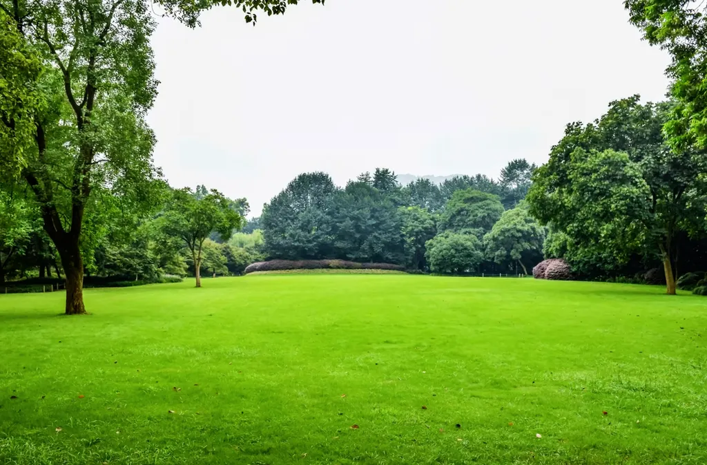 Traitement contre les puces dans les maisons avec jardin à Tournefeuille 
