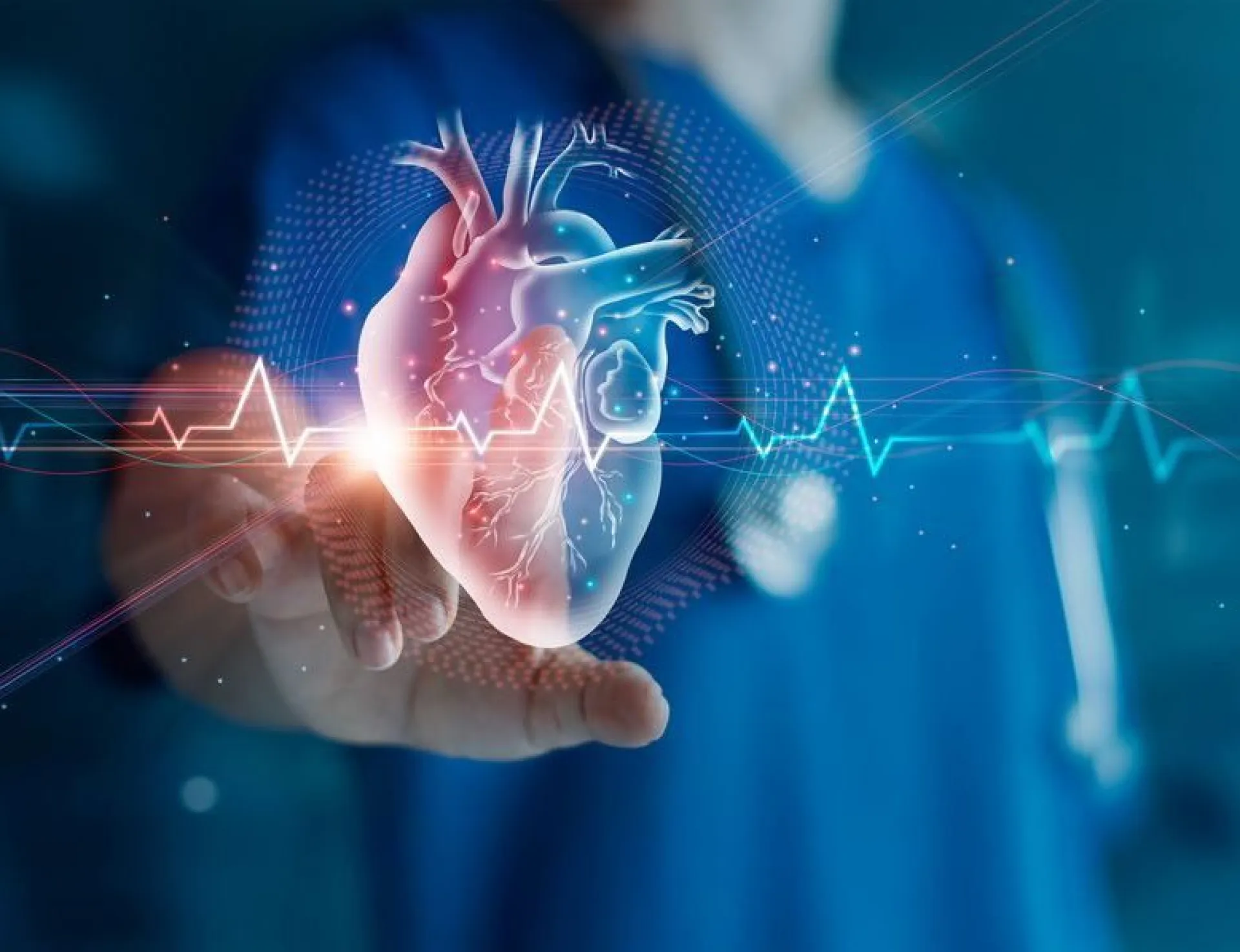 Votre partenaire de confiance pour la vente et la maintenance de votre matériel de cardiologie. De l'ECG aux consommables, nous répondons aux besoins des cabinets et hôpitaux pour un diagnostic cardiaque performant.