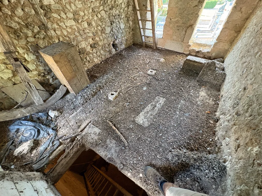Nettoyage de fientes de pigeons à lisieux 