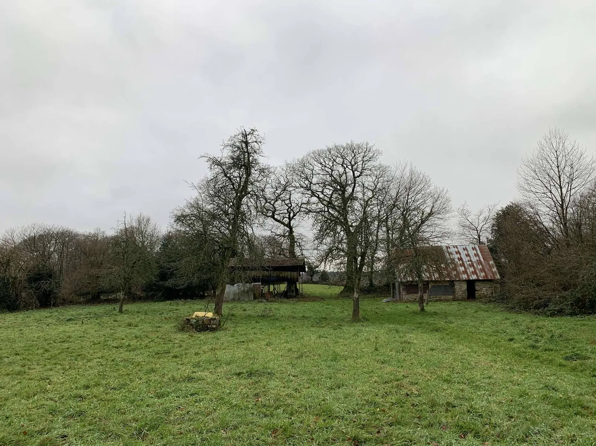 Région SOURDEVAL (MANCHE) Parcelles d'herbage et bois taillis sur 9 HA 10 A