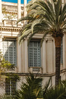 Chronique de la semaine 45 : Nice , L'Inscription au Patrimoine Mondial de l'UNESCO, Consécration d'un Modèle Urbain de Villégiature