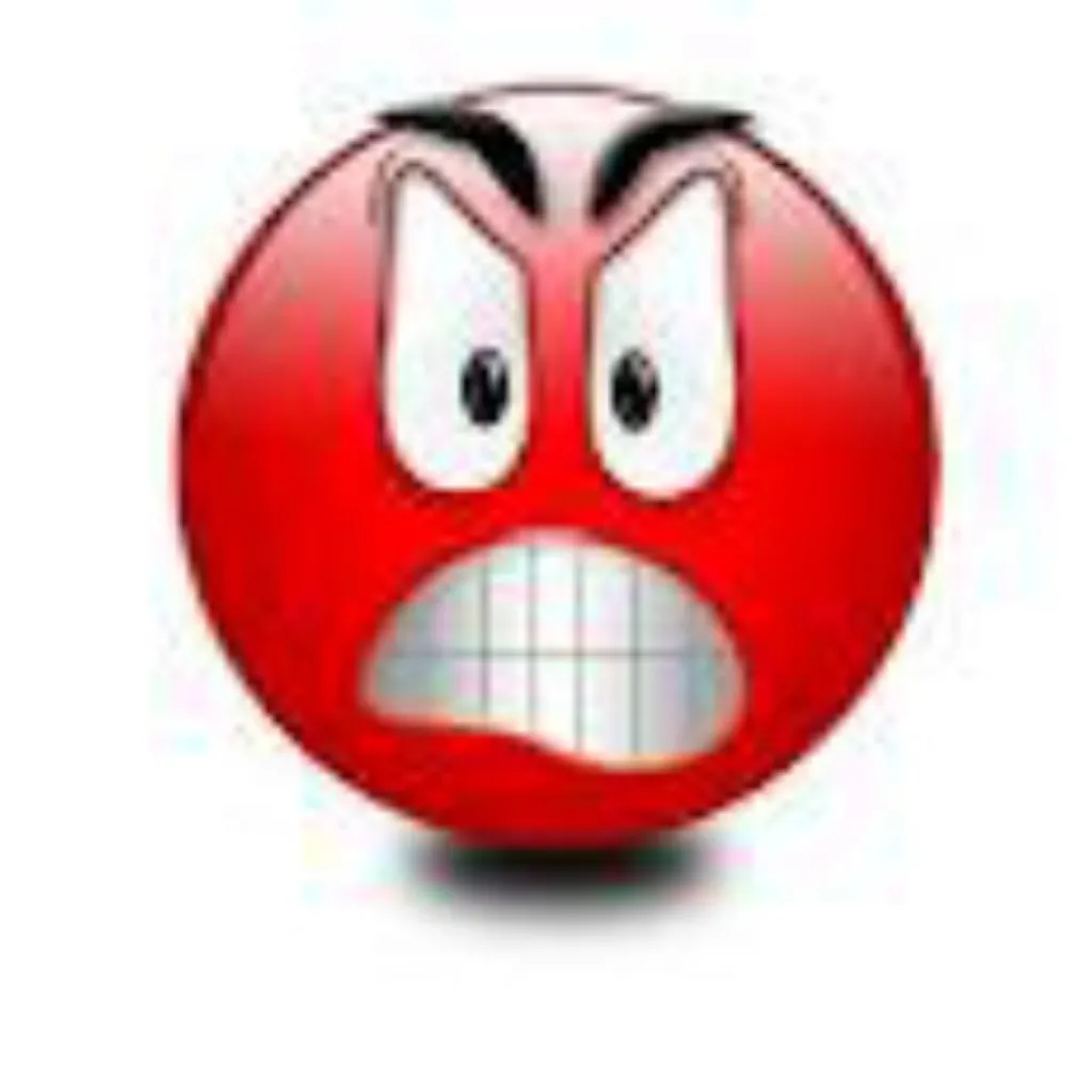 JE ME SUIS FAIS AVOIR