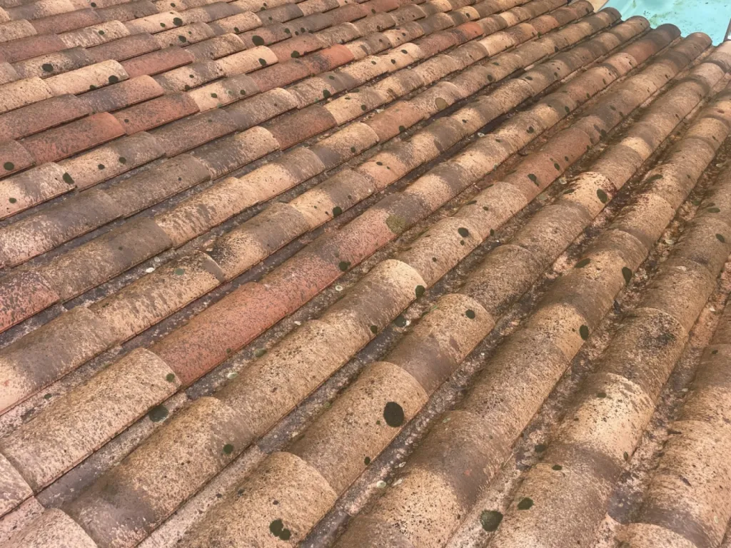 Nettoyage et traitement des tuiles mécaniques d’une Maison près de Martigues.