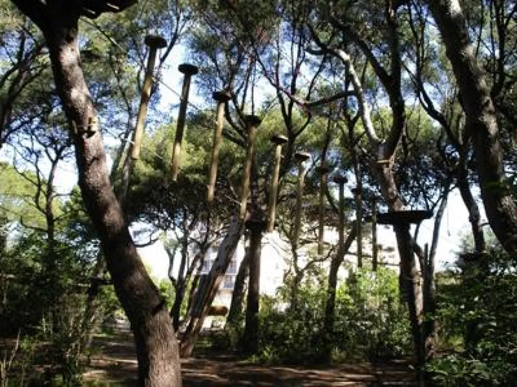 Activité en plein air à Marseille avec PASTRE AVENTURE