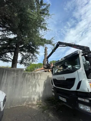 Entreprise spécialisée dans l'abattage d'arbre par démontage vers Villeneuve les Avignon (Gard)