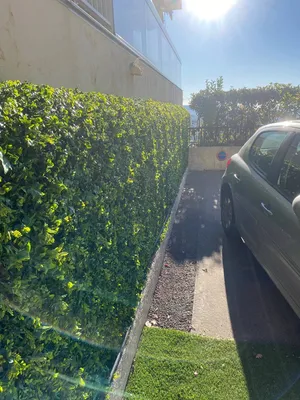 Pose du grillage plié sur mesure et feuillage artificiel à Nice