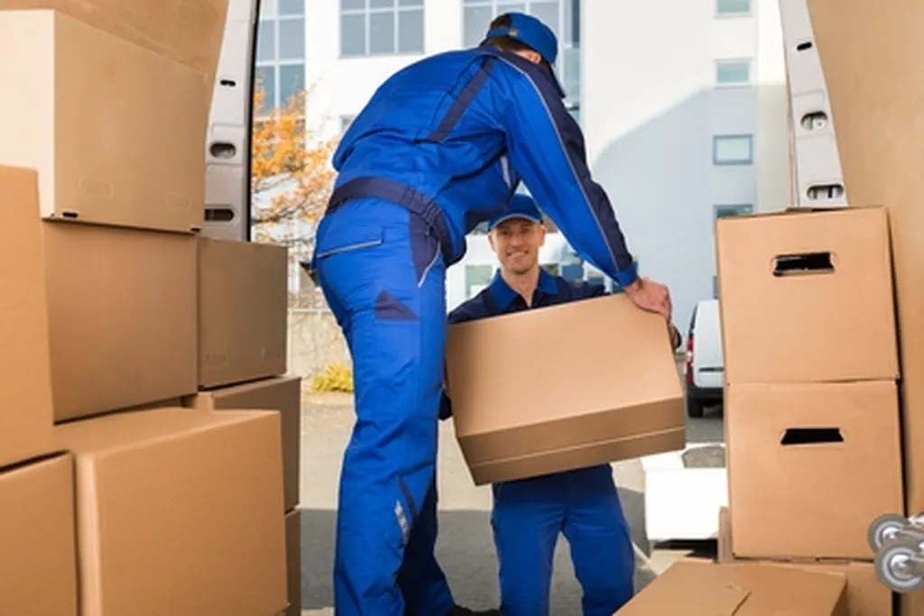 Courtier en Assurance de Marchandises Transportées