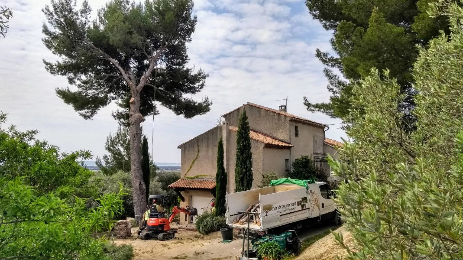 abattre un arbre à salon de provence