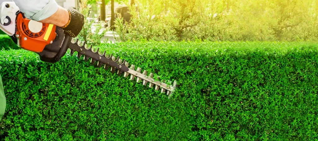 Contrat d’entretien annuel de jardin à Montpellier avec crédit d’impôt 50 %