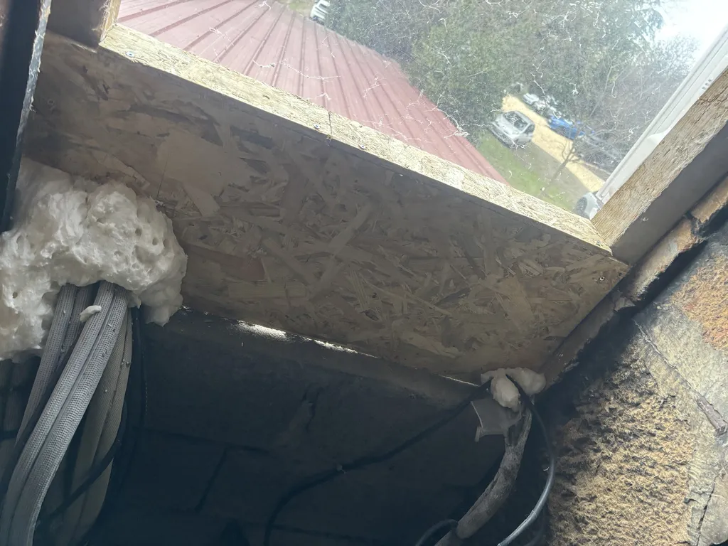 Préventions contre l'intrusion des nuisibles à Lyon pour professionnels et particuliers