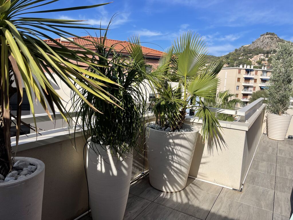 Création de jardinières avec végétaux méditerranéens, arrosage goutte-à-goutte et clôture bambou à Hyères-les-Palmiers