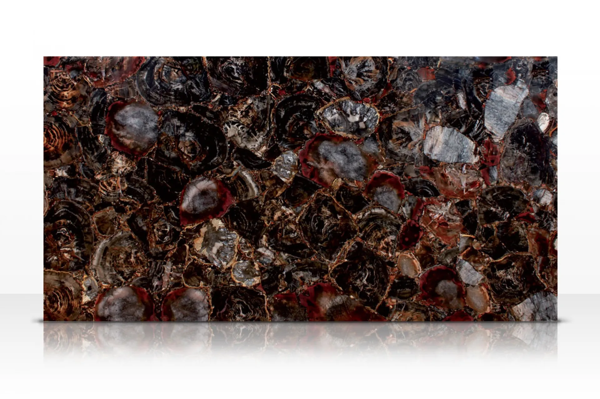 Black Petrified Wood pierre semi-précieuse