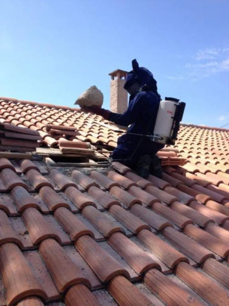 intervention frelons velaux 13880