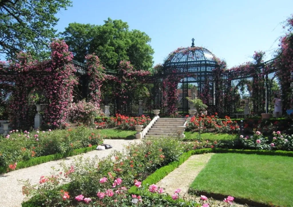 Le Jardin des plantes à Lyon 1