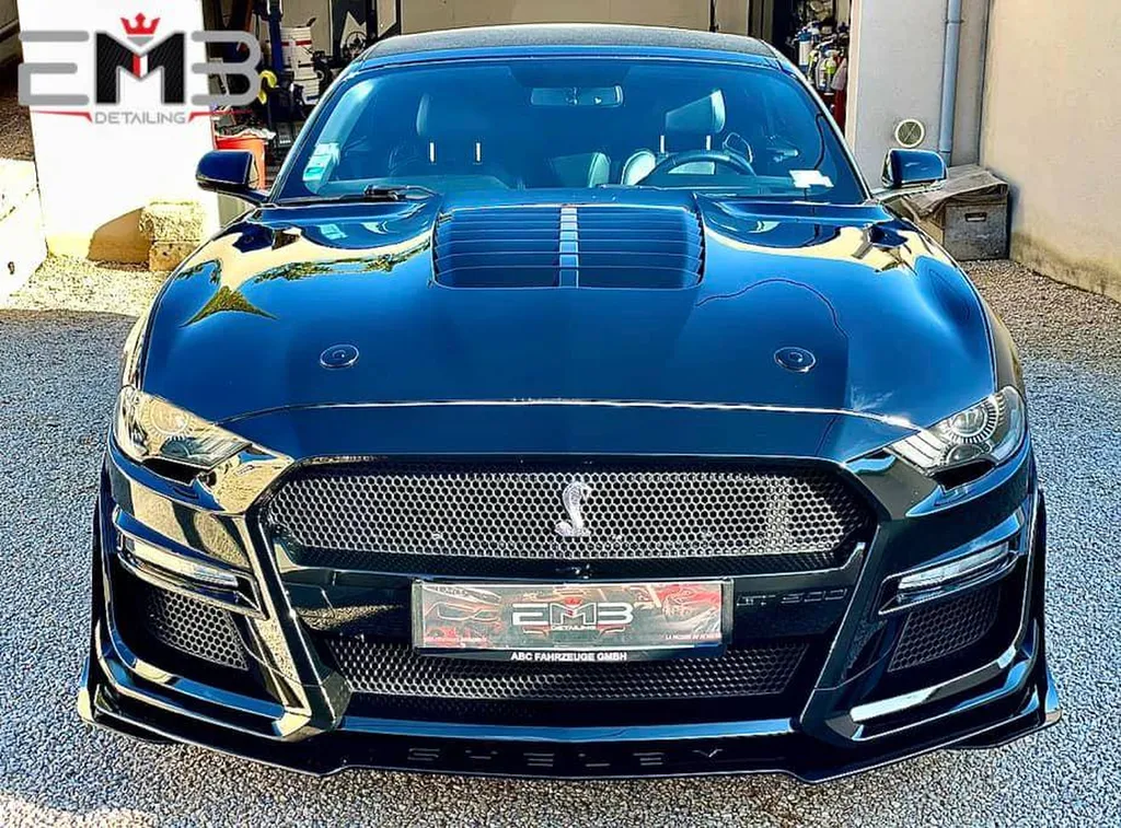 Traitement garanti 10 ans à Sainte-Consorce