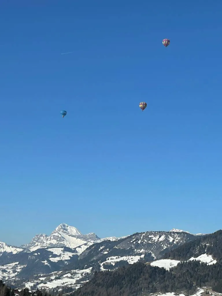 Appartement T2 à Megève (74120)