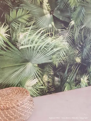 Accompagnement dans la rénovation d’une maison avec cuisine, salon, buanderie sur Marseille avec architecte d’intérieur