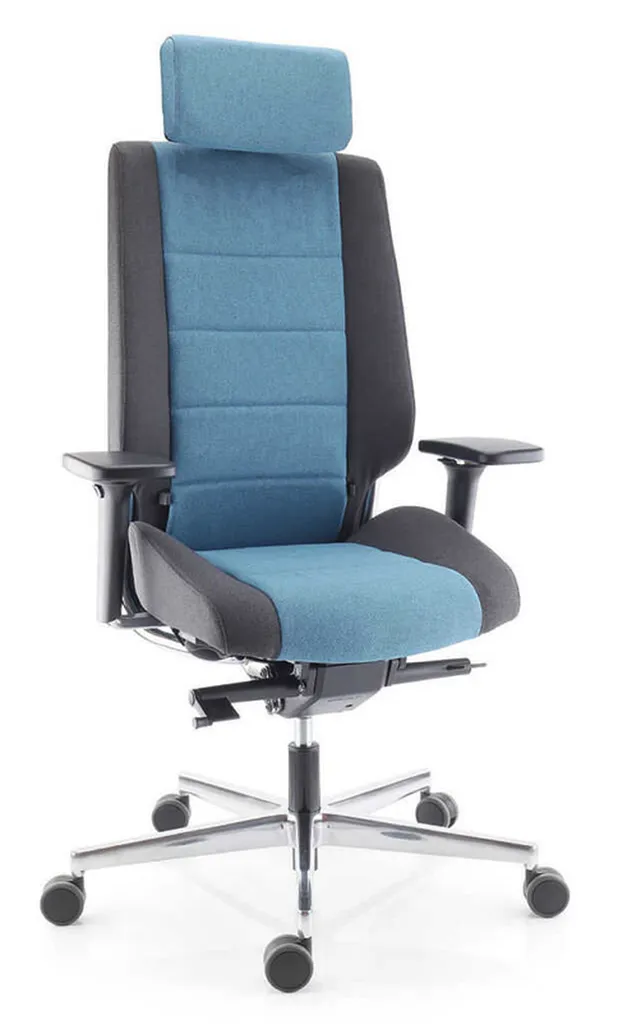 Fauteuil Ergonomique Azkar Bicolor à Soissons 