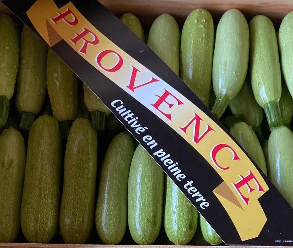 Courgette grisette blanche