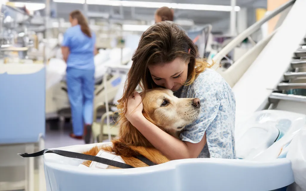 Vétérinaires, ostéopathes et naturopathes animaliers recommandent la formation constellation animale intuitive à Rouen par Valérie Guillet 