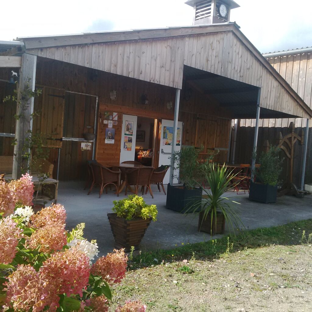 ECURIE DE CONCOURS ET DE PROPRIETAIRES A VENDRE DANS LE CALVADOS