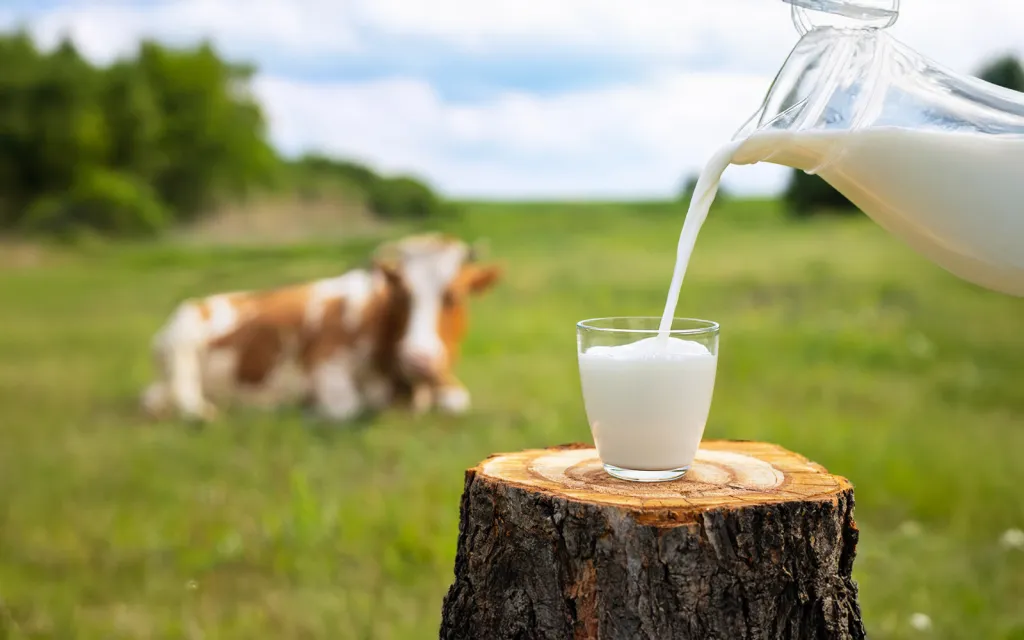 Tenus coopertos exilium sunt uncosqu